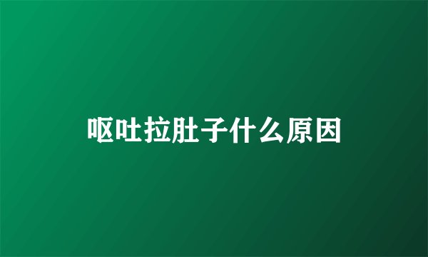 呕吐拉肚子什么原因