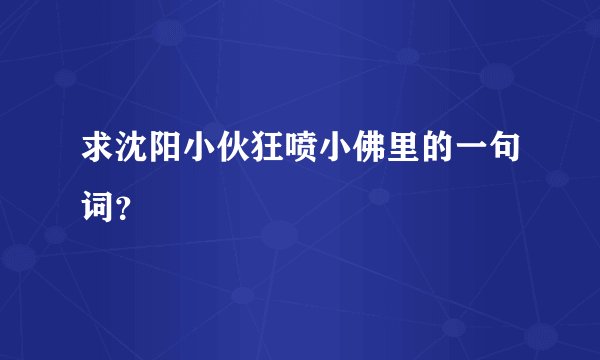 求沈阳小伙狂喷小佛里的一句词？