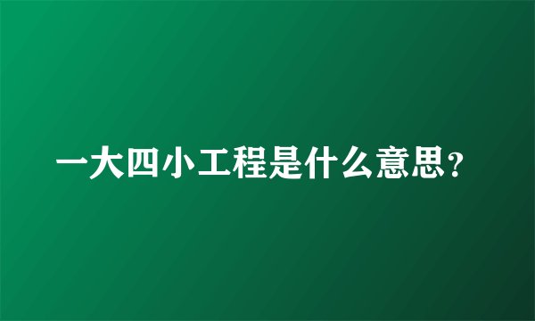一大四小工程是什么意思？