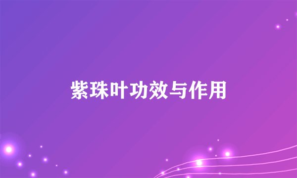 紫珠叶功效与作用