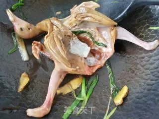 红烧鸽子