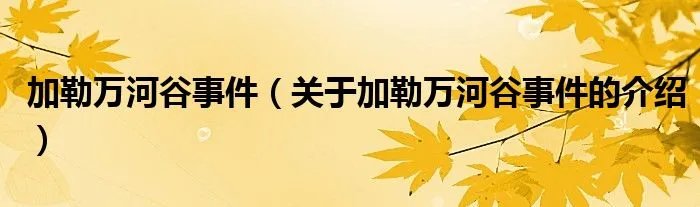 加勒万河谷事件（关于加勒万河谷事件的介绍）