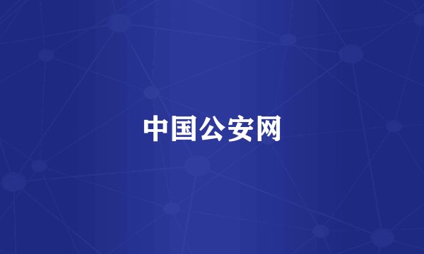 中国公安网