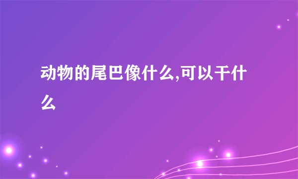 动物的尾巴像什么,可以干什么