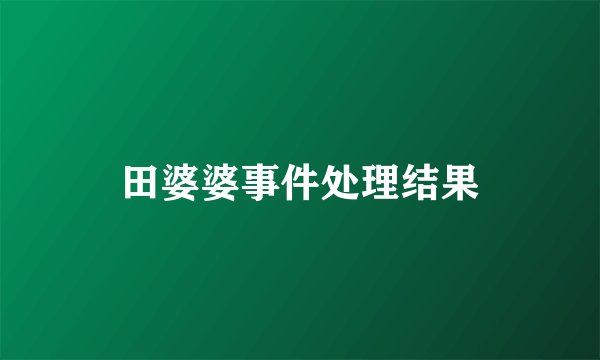 田婆婆事件处理结果