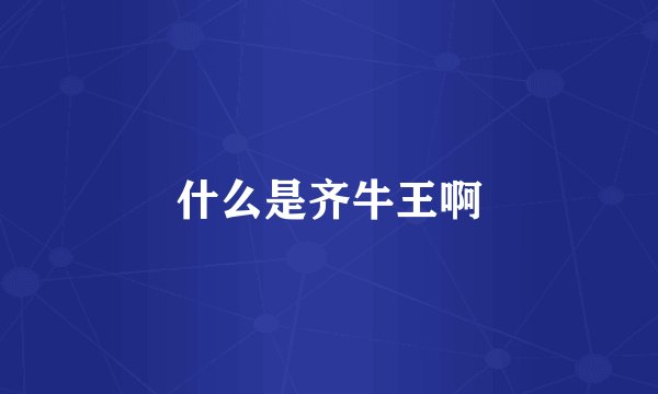 什么是齐牛王啊