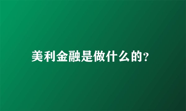 美利金融是做什么的？