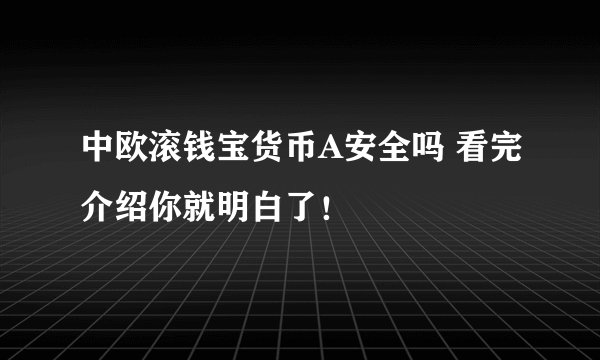 中欧滚钱宝货币A安全吗 看完介绍你就明白了！