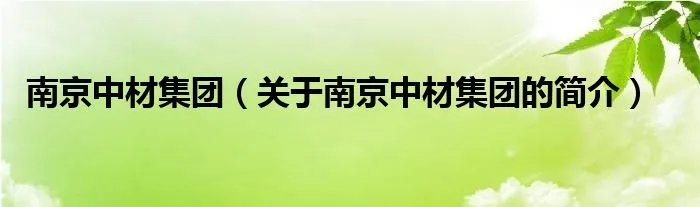 南京中材集团（关于南京中材集团的简介）