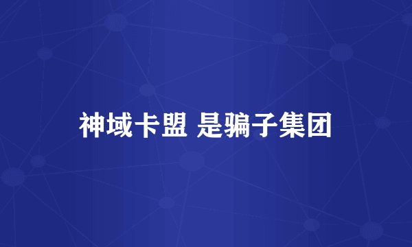神域卡盟 是骗子集团