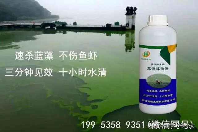 蓝藻爆发的治理措施有哪些?