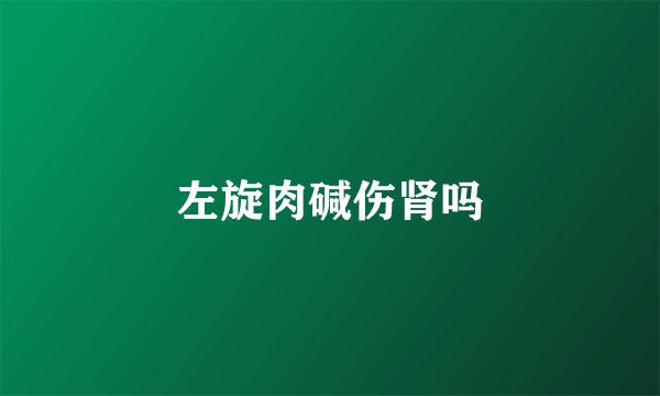 左旋肉碱伤肾吗