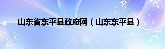 山东省东平县政府网（山东东平县）