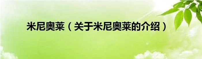 米尼奥莱（关于米尼奥莱的介绍）