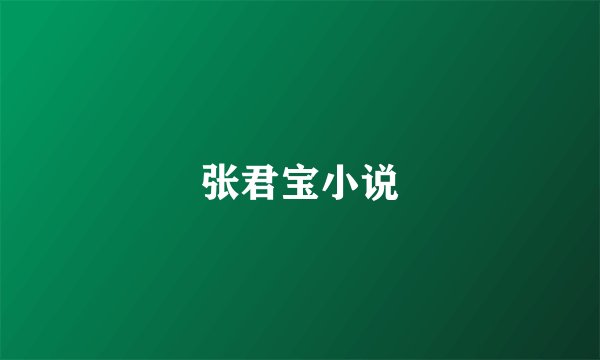 张君宝小说