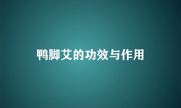 鸭脚艾的功效与作用