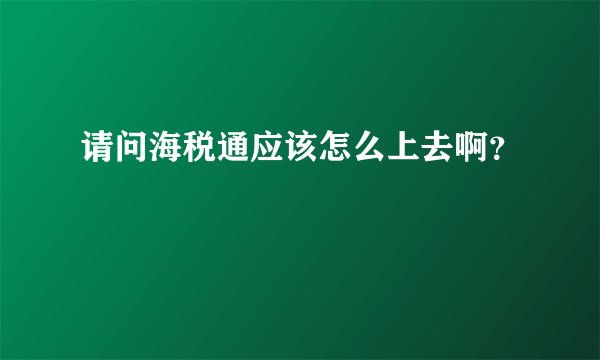 请问海税通应该怎么上去啊？