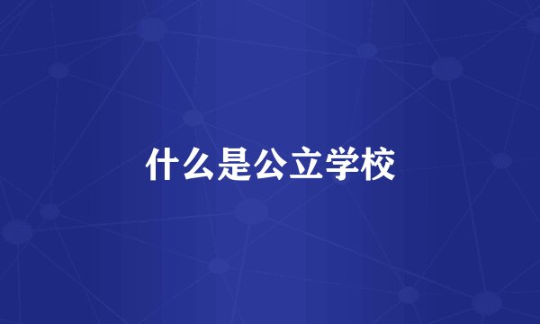 什么是公立学校
