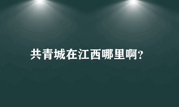 共青城在江西哪里啊？