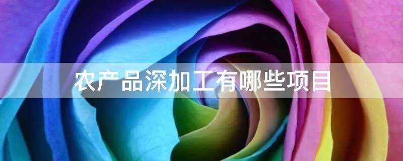 农产品深加工有哪些项目
