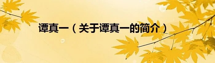 谭真一（关于谭真一的简介）