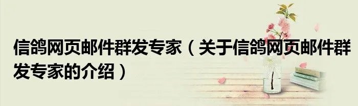 信鸽网页邮件群发专家(关于信鸽网页邮件群发专家的介绍)