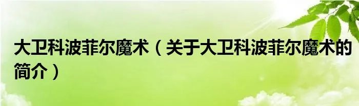 大卫科波菲尔魔术（关于大卫科波菲尔魔术的简介）