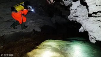 广西河池洞穴现珍稀水生物，珍稀水生物对环境的要求有多高？