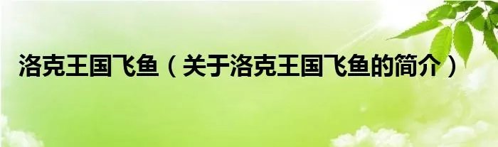 洛克王国飞鱼（关于洛克王国飞鱼的简介）
