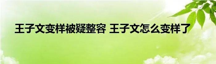 王子文变样被疑整容 王子文怎么变样了