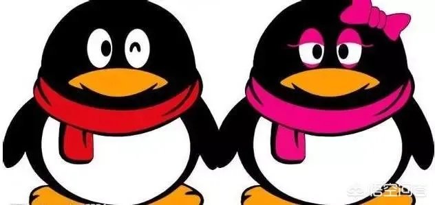 qq宠物论坛