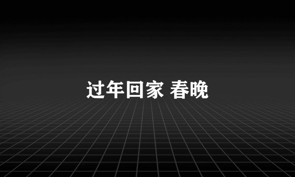 过年回家 春晚