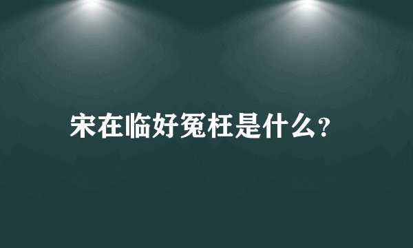 宋在临好冤枉是什么？
