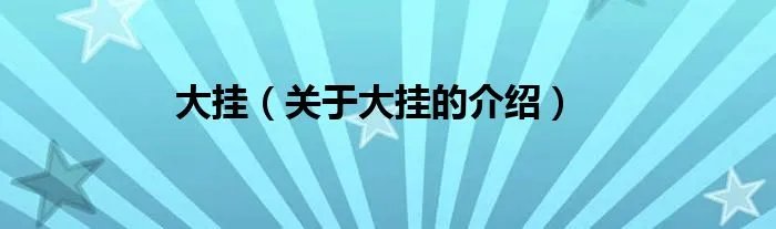 大挂（关于大挂的介绍）