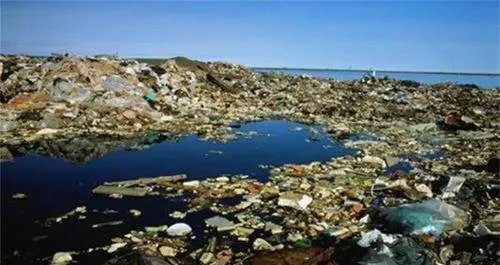 海洋中出现垃圾大陆,对我国海域会造成什么样的影响?