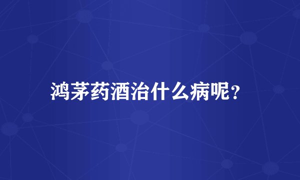 鸿茅药酒治什么病呢？