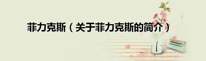 菲力克斯（关于菲力克斯的简介）