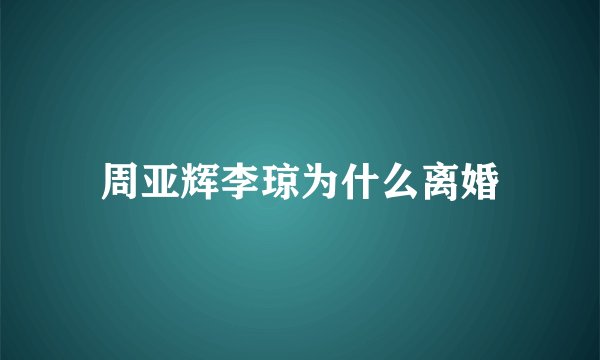 周亚辉李琼为什么离婚