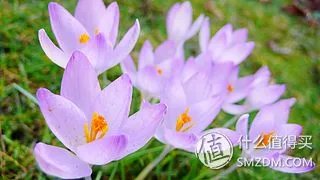 谢谢你陪我走过那段路  Panasonic  松下  Lumix  LX2  数码相机