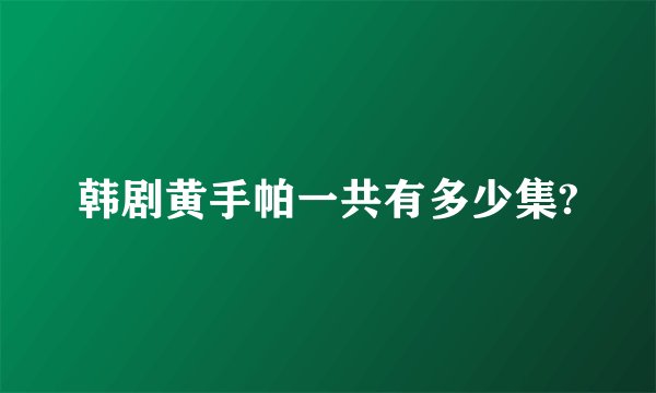 韩剧黄手帕一共有多少集?