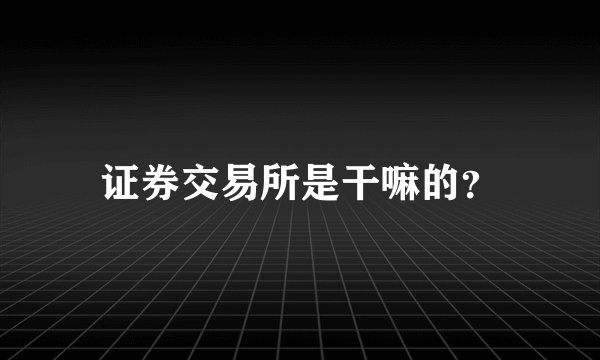 证券交易所是干嘛的？