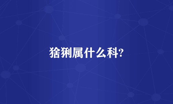 猞猁属什么科?
