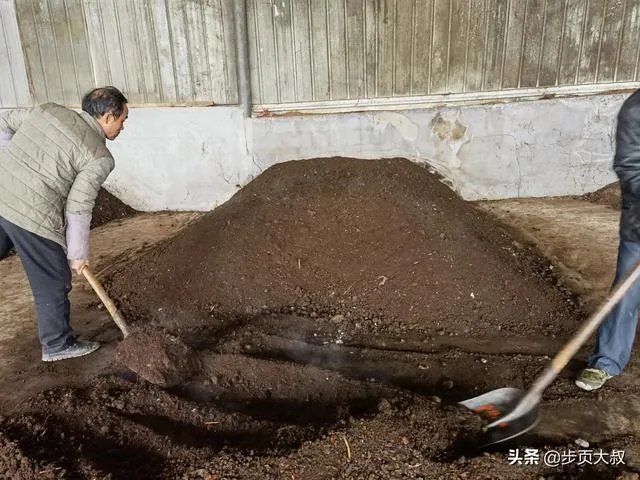 央视网评娱乐歪风