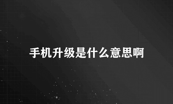 手机升级是什么意思啊