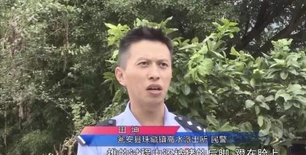 民警为救猪跳进化粪池的做法值不值得?猪是如何掉进去的?