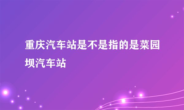 重庆汽车站是不是指的是菜园坝汽车站