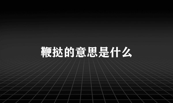 鞭挞的意思是什么
