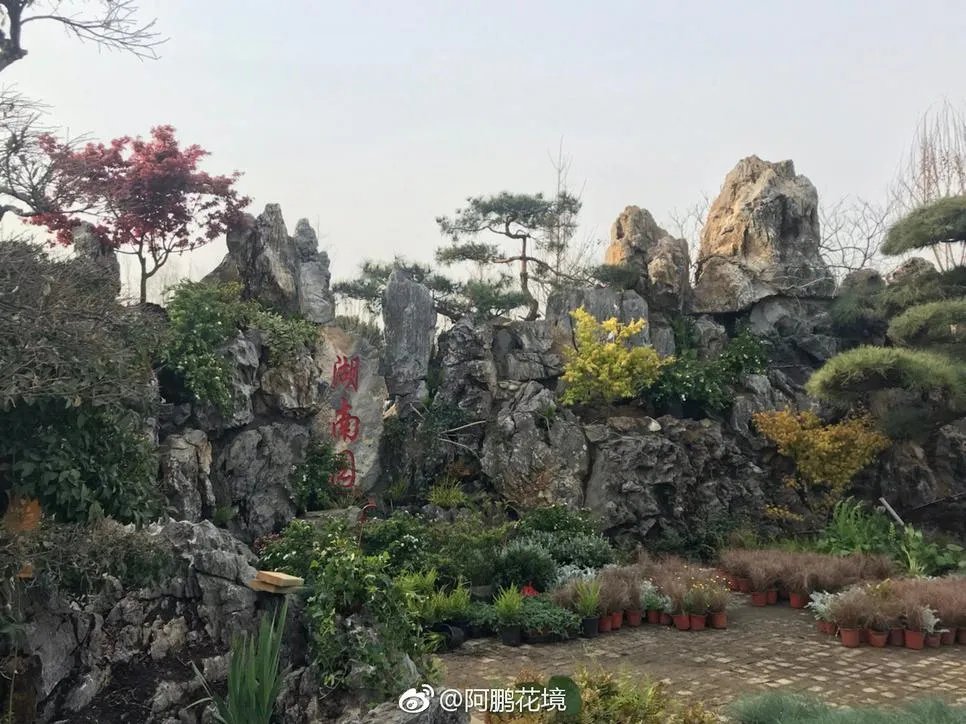 张家界style