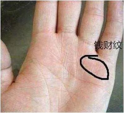 手相怎么看财运?