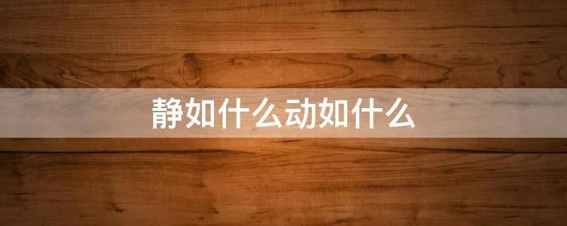 静如什么动如什么